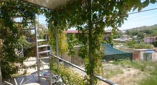 Гостиница Vinogradniy Dvorik Коктебель-0